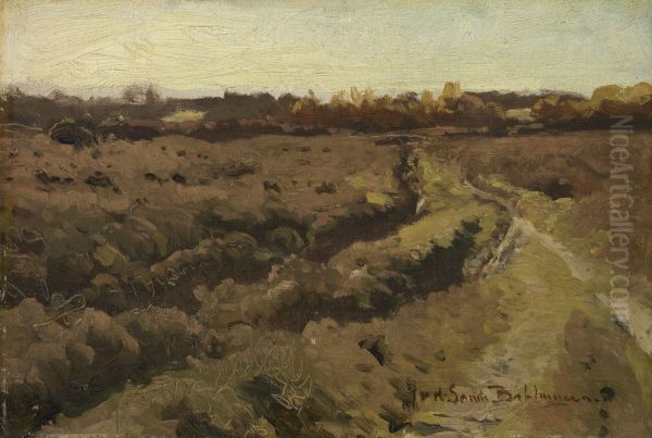 Heide bij Rolde - view 1