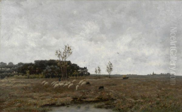 Heathland at Vries - view 1
