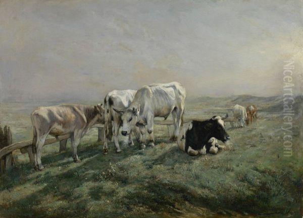 Weide met koeien - view 1