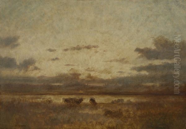 Moeras bij ondergaande zon - view 1