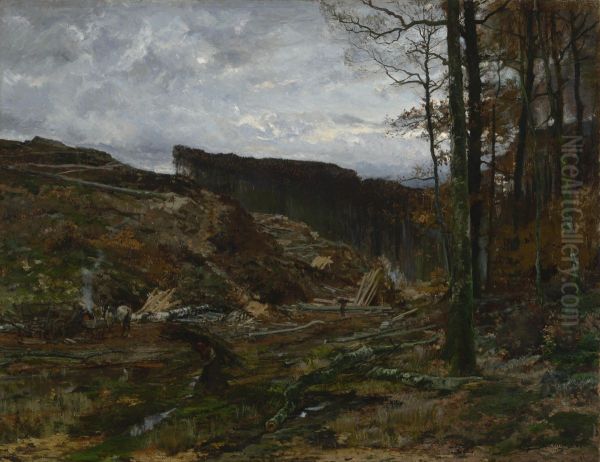 In the Ardennes - view 1