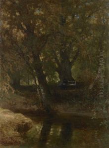 In het bos van de Oorsprong
