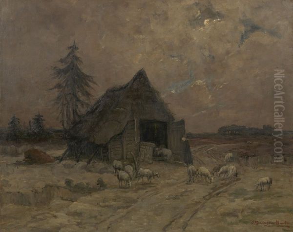 Op de Veluwe, de heide van Bennekom - view 1