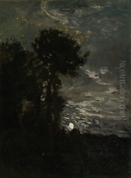 Maanlicht - view 1