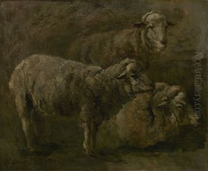 Schapen Schapen