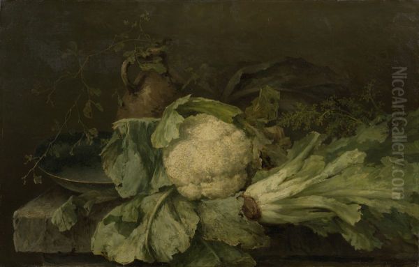 Cauliflower and endive - view 1