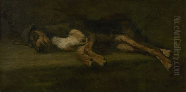 Dode hond - view 1