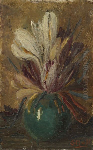 Crocuses - view 1