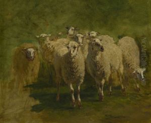 Schapen by Constant Troyon