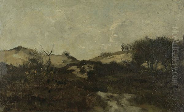 In de duinen - view 1
