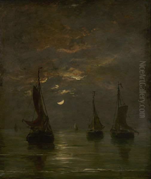 Moonlit night - view 1