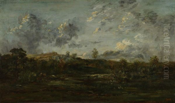Moeras in Bourgondie - view 1