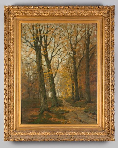 Boslandschap in de herfst - view 1