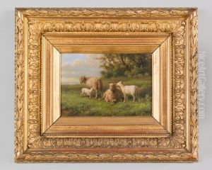 Schaapjes in het gras