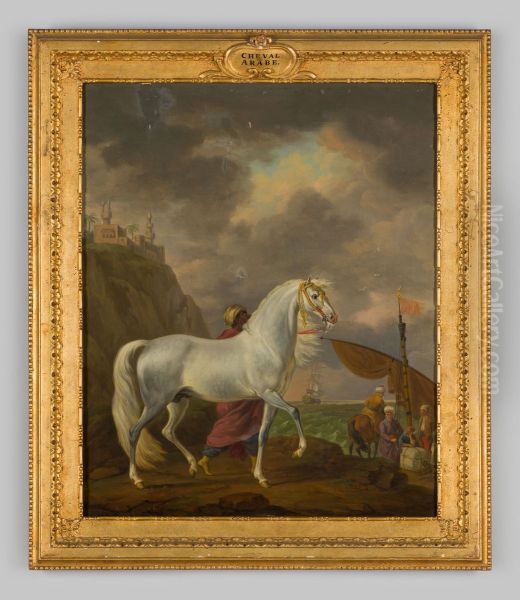Arabisch paard - view 1
