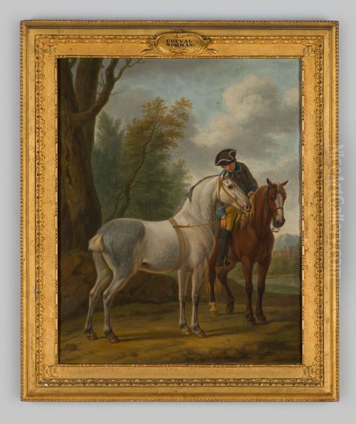 Normandisch paard - view 1