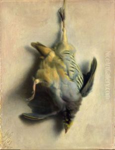 Dead partridge