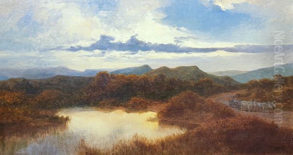 The Old Road to Aliga - view 1