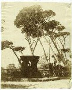 Jardin De La Villa Borghese by Giacomo Caneva