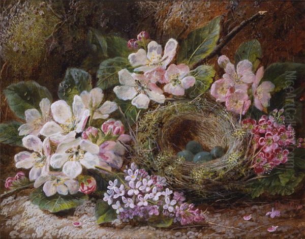 Apple Blossom and a Bird's Nest - view 1