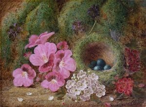 Bird's Nest with Flowers by Oliver Clare