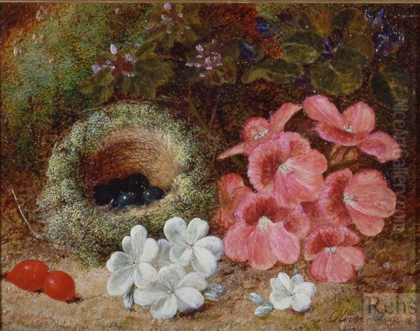Flowers and a Bird's Nest - view 1