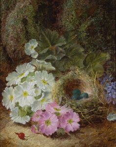 Flowers, a Berry and a Bird's Nest by Oliver Clare