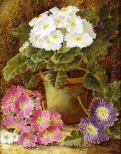 Potted Flowers Potted Flowers