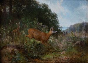 Hirschkuh mit Kalb springen aus dem Gebusch
