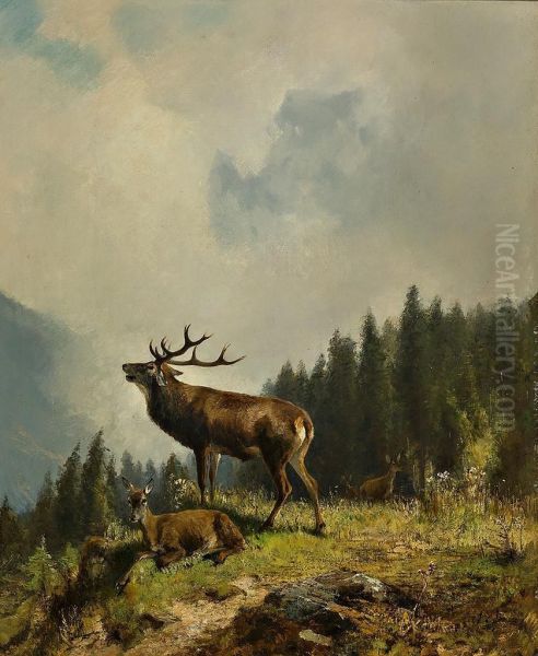 Rohrender Rothirsch mit seinem Rudel - view 1