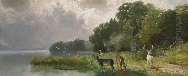 Damwild am See - view 1