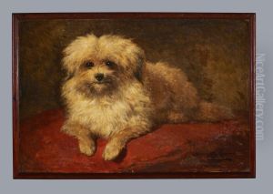 Liggend hondje, Henriette Ronner-Knip, 1850-1870 by Henriette Ronner-Knip