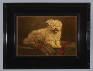 Liggend hondje, toegeschreven aan Henriette Ronner-Knip, 1850-1870 by Henriette Ronner-Knip