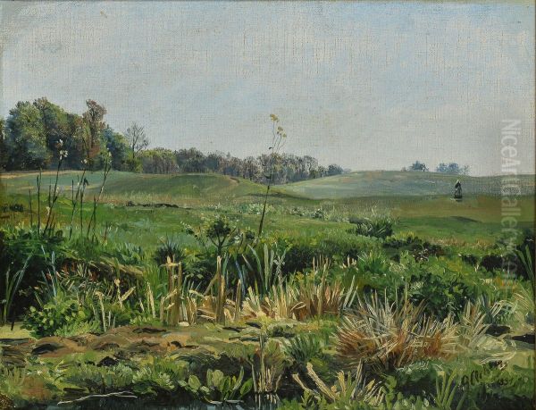 Figure in a field with distant woodland. - view 1