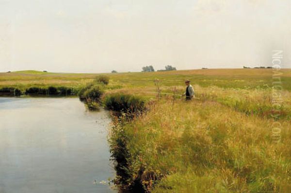 A June day. - view 1