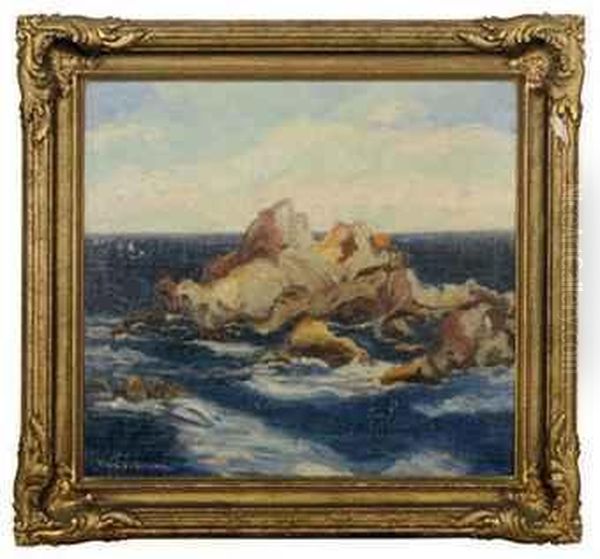 Rocky Coastal Landscape - view 1