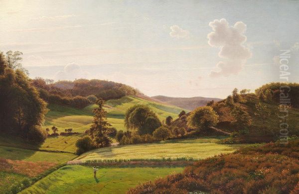 A summer landscape with hills. - view 1