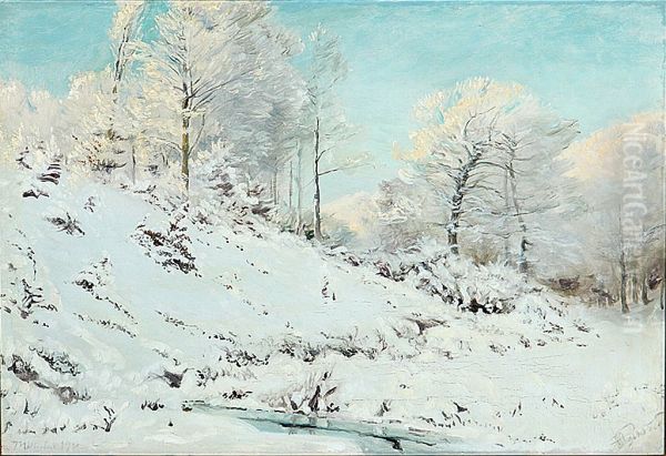Winter landscape at Molholm near Vejle. - view 1