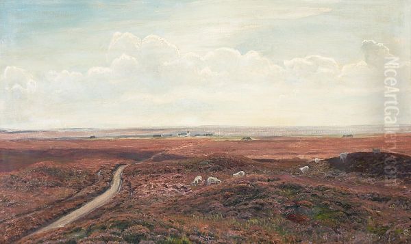 View of a heath landscape. - view 1