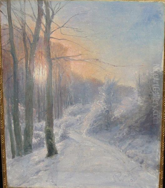 A winter day in the woods with sunlight through the trees. - view 1