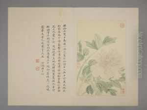 <<yun shou ping hua hui ce>> <<yun shou ping hua hui ce>>