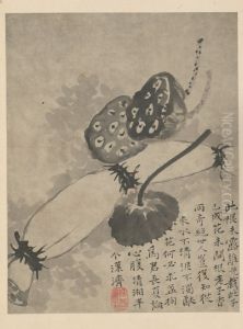 <<yuan ji za hua tu ce>> by Shitao Daoji