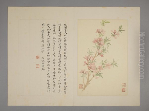 <<yun shou ping hua hui ce>> - view 1