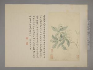 <<yun shou ping hua hui ce>> <<yun shou ping hua hui ce>>