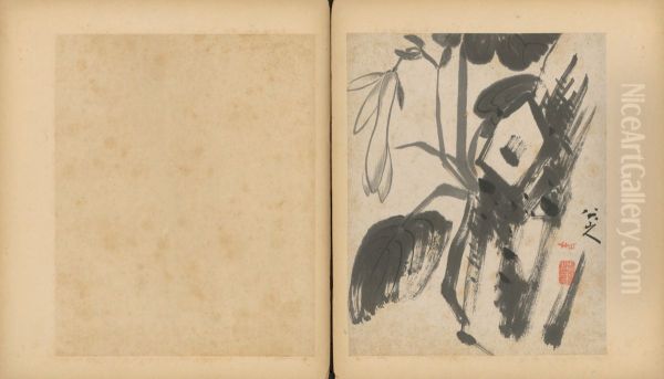 <<zhu da za hua ce>> - view 1