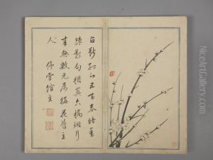 <<shao mi mei hua wen cong jian shi he bi ce>> <<shao mi mei hua wen cong jian shi he bi ce>>