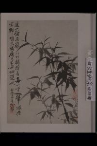 <<yuan ji hua hui tu ce>> by Shitao Daoji