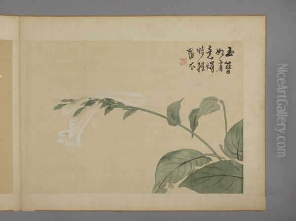 <<hua nie hua hui tu ce>> - view 1