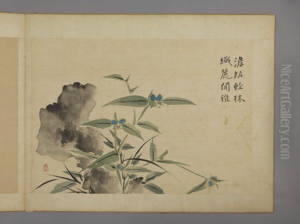 <<hua nie hua hui tu ce>> - view 1