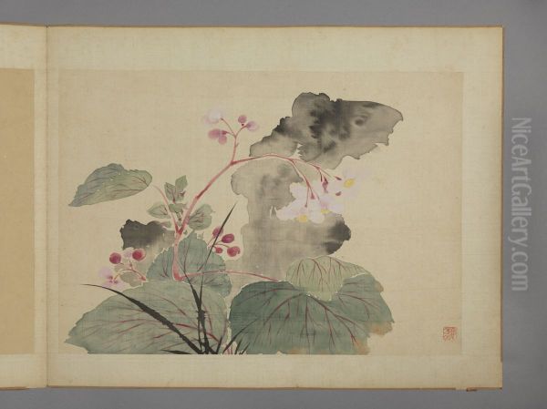 <<hua nie hua hui tu ce>> - view 1